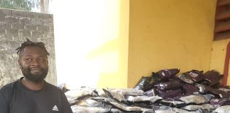 Two drug kingpins Emami, Akpomuai convicted, sentenced to 10 years imprisonment