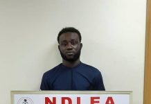 NDLEA smashes drug cartel, arrests 3 kingpins, seizes N5.3bn Australia-bound cocaine