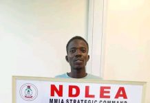 US, UK, DRC-bound illicit drug consignments intercepted in frozen snails, electrical bulbs