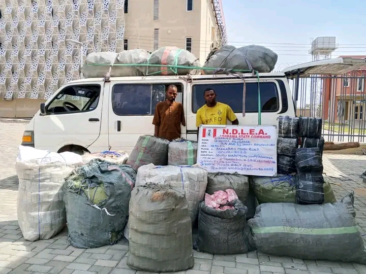 7.6 million tramadol pills, 76,273kg Colorado, skunk seized in Delta, Imo, Adamawa raids