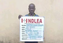 80-year-old ex-convict arrested as NDLEA uncovers illicit drugs in full body mannequins