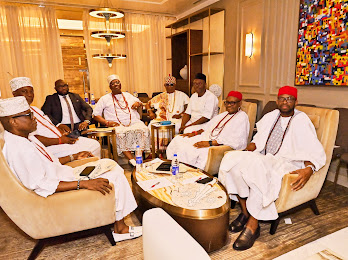 Nigerian Leaders Unite to Boost Local Pharma Industry