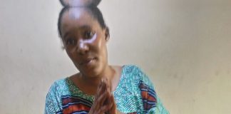 NDLEA Makes Major Drug Busts Across Nigeria