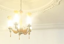 CEOAFRICA MD Calls for Support for ACALAN’s 20th Anniversary