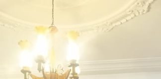 CEOAFRICA MD Calls for Support for ACALAN’s 20th Anniversary