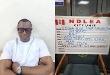 NDLEA Arrests Fugitive Drug Lord Wanted in UK After 15 Years on the Run