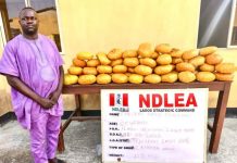 NDLEA Makes Major Drug Busts, Arrests Former Lagos Councilor