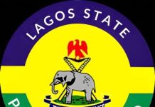 Police Nab Suspect, Recover Pistol In Mushin Raid