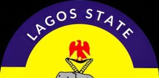 Police Nab Suspect, Recover Pistol In Mushin Raid