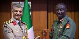 NIGERIA, EGYPT BOOST MILITARY TIES TO TACKLE SECURITY THREATS