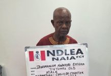 NDLEA MAKES MAJOR DRUG BUSTS ACROSS NIGERIA