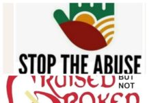 OZORO FESTIVAL ASSAULT: RIGHTS GROUPS OUTRAGED, SEEK ACTION