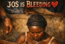 Reflections: The Tragic Killing of 12 Persons in Gari Ya Waye, Jos North LGA, Plateau State By Chigozirim Okoro, Program Manager, CLEEN Foundation