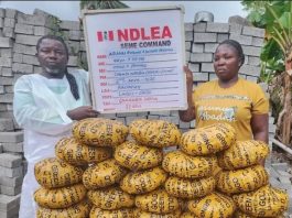 NDLEA Intercepts Cocaine Shipment, Nabs Pastor and Wife for Drug Trafficking