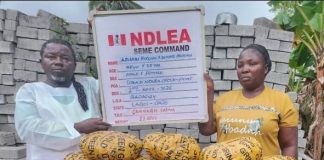 NDLEA Intercepts Cocaine Shipment, Nabs Pastor and Wife for Drug Trafficking