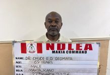 Great Grandpa, Doctor Among Suspects Arrested by NDLEA for Illicit Drugs
