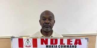 Great Grandpa, Doctor Among Suspects Arrested by NDLEA for Illicit Drugs