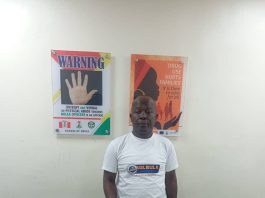 NDLEA Nabs 13, Destroys 17,000kg Skunk in Nationwide Raids