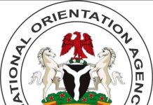 Nigeria’s Operation Safe Corridor: a Deep Dive Beyond the Criticisms and Resistance