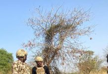 Operation Hadin Kai Troops Crush Terrorist Cells in Timbuktu, Bulabulin Forests