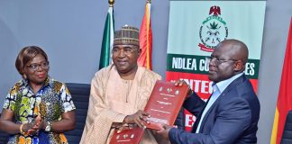Nigeria, Ghana Deepen Drug War Alliance, Target Maritime Routes, Synthetics