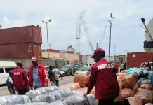 NDLEA Intercepts N10.4bn Canadian Loud Shipment at Lagos Port