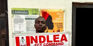 NDLEA Seizes UK, Australia-Bound Drugs, Destroys 65,000kg Cannabis Farms in Nationwide Raids