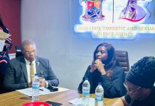 FCID Lagos, DSVA Strengthen Ties to Combat Domestic and Sexual Violence