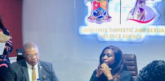 FCID Lagos, DSVA Strengthen Ties to Combat Domestic and Sexual Violence