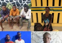 Ogun Police Net 7 Suspects in Raids Across Sango-Ota, Owode-Egba and Agbado