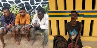Ogun Police Net 7 Suspects in Raids Across Sango-Ota, Owode-Egba and Agbado