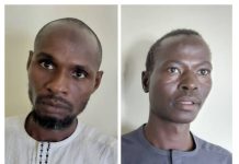 Two High-Profile ISWAP Commanders Surrender to Troops in Borno Under Operation HADIN KAI Pressure