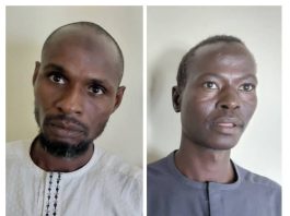 Two High-Profile ISWAP Commanders Surrender to Troops in Borno Under Operation HADIN KAI Pressure