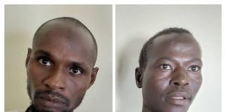 Two High-Profile ISWAP Commanders Surrender to Troops in Borno Under Operation HADIN KAI Pressure