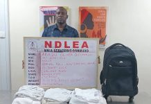 NDLEA Arrests Brazil-Based Businessman with 6.10kg Cocaine, Seizes Drugs in 8 States