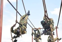 45 Engineer Brigade Wins 81 Division 2026 WOs/SNCOs Combat Proficiency Competition
