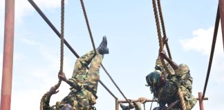 45 Engineer Brigade Wins 81 Division 2026 WOs/SNCOs Combat Proficiency Competition