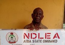 NDLEA Arrests 84-Year-Old Grandpa, 75-Year-Old Grandma, Seizes Dubai-Bound Loud in Lagos