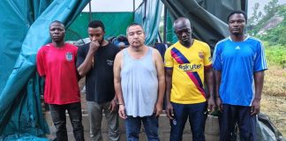 NDLEA Busts Industrial Meth Lab in Oyo Forest, Nabs Mexican Chemist, 4 Others