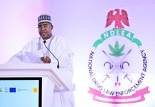 Tinubu Reaffirms Drug War Commitment as NDLEA Seizes N1.5 Trillion Worth of Drugs in 18 Months
