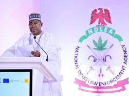 Tinubu Reaffirms Drug War Commitment as NDLEA Seizes N1.5 Trillion Worth of Drugs in 18 Months