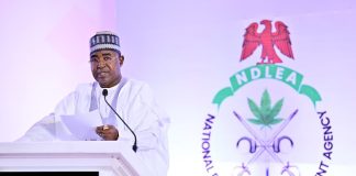 Tinubu Reaffirms Drug War Commitment as NDLEA Seizes N1.5 Trillion Worth of Drugs in 18 Months