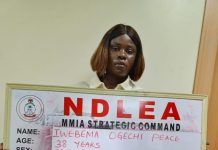 NDLEA Nabs Woman with 7.5kg Cocaine for China, Recovers N12.3bn Cannabis at Apapa