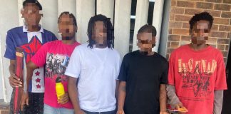 Lagos Police Nab 5 Alleged Aye Confraternity Members, Seize Weapons, Drugs, and Gadgets