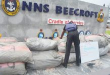 Navy Hands Over 756kg of Suspected Cannabis to NDLEA in Lagos
