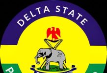 Delta Police Sweep Asaba, Arrest 202 Suspects, Seize 25 Vehicles in Crime Crackdown