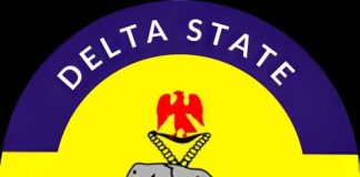 Delta Police Sweep Asaba, Arrest 202 Suspects, Seize 25 Vehicles in Crime Crackdown