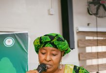Marwa Urges Media Partnership to Tackle Nigeria’s Drug Crisis at NOMA Workshop