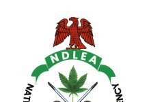 NDLEA Warns Public Over Fake Vehicle Auction Scam Using Officials’ Names