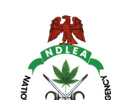 NDLEA Warns Public Over Fake Vehicle Auction Scam Using Officials’ Names